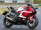 Yamaha YZF 600 R6 20th Anniversary Edition